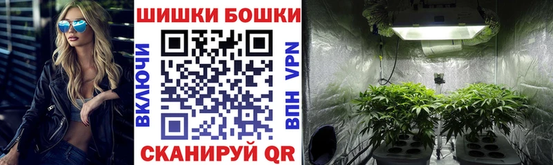 как найти   Медвежьегорск  Бошки Шишки гибрид 